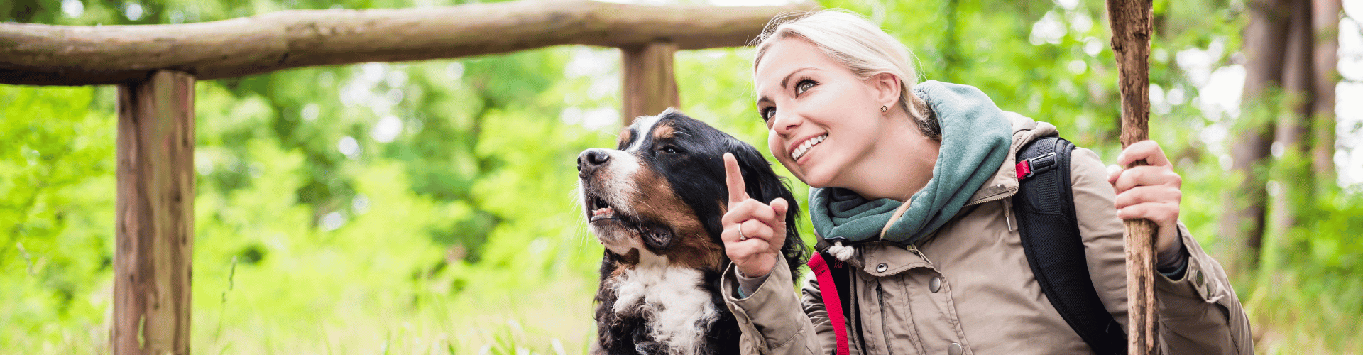 Ontdek samen met je hond de Harz met het Hondenarrangement bij Harz Hotel Iris