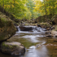 Rivier de Sieber bij Harz Hotel Iris