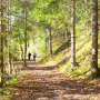 Rust en Ruimte Wandelarragement Harz Hotel Iris