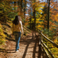 Uitgebruid wandel- en fietsnetwerk in de Harz bij Harz Hotel Iris