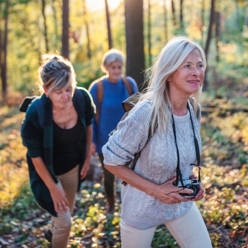 Vriendengroep wandelt door de bossen van de Harz in Duitsland tijdens een verblijf bij Harz Hotel Iris, actie en ontspannen groepsverblijf in de natuur