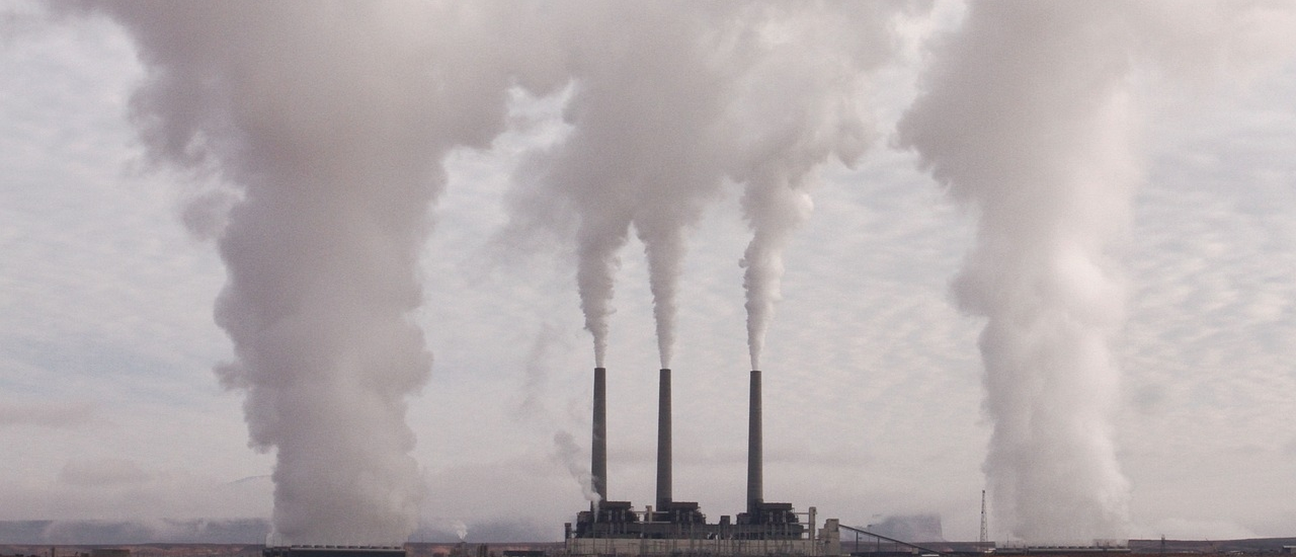 SIMPLE GUIDE  TO REDUCE ENVIRONMENTAL IMPACT  WITH YOUR JEWELRY BUSINESS