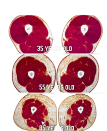 Healthy ageing exercises