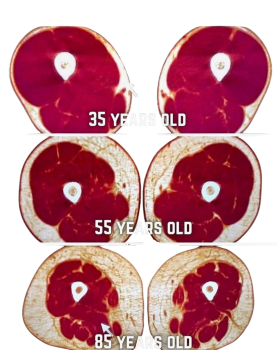 Online training to prevent muscle loss Healthy ageing exercises