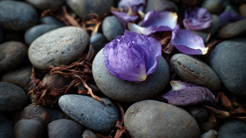 Een bloem, steen of symbool voor rust