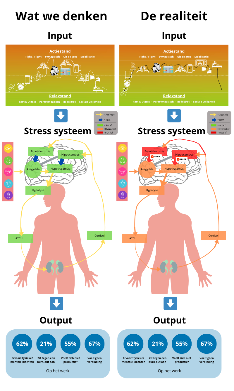 Uitleg stress systeem Uitleg stress systeem