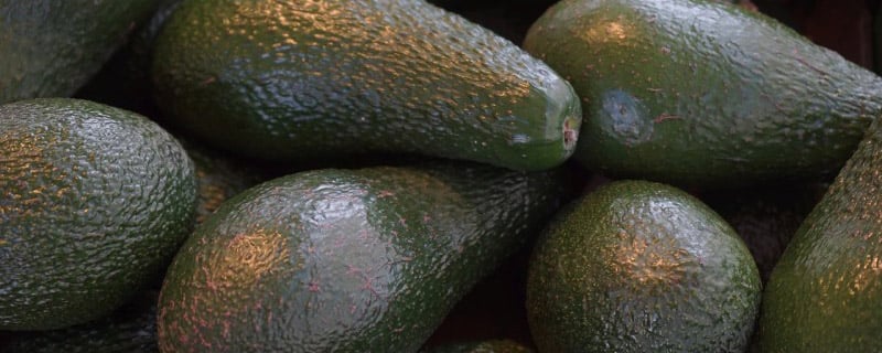 Rauwe avocadosoep