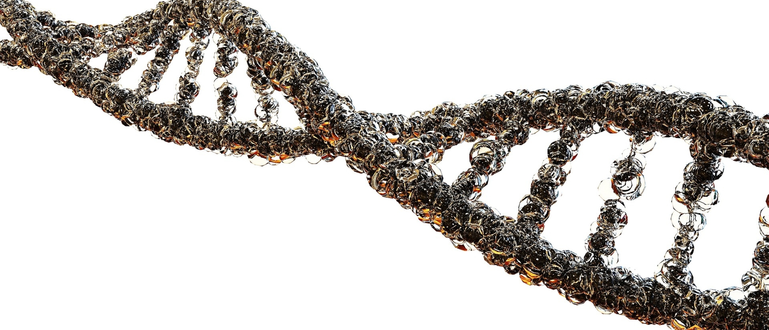 De Schakelaars van het Leven: Epigenetica en de Invloed van Onze Omgeving