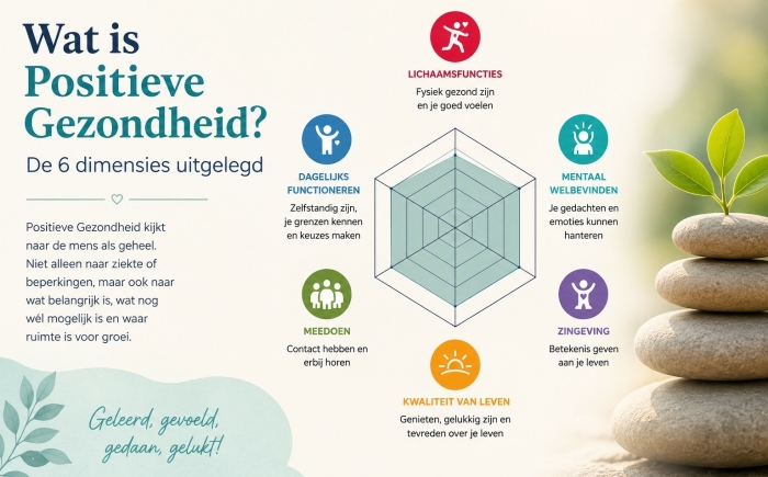 Spinnenweb van positieve gezondheid in beeld