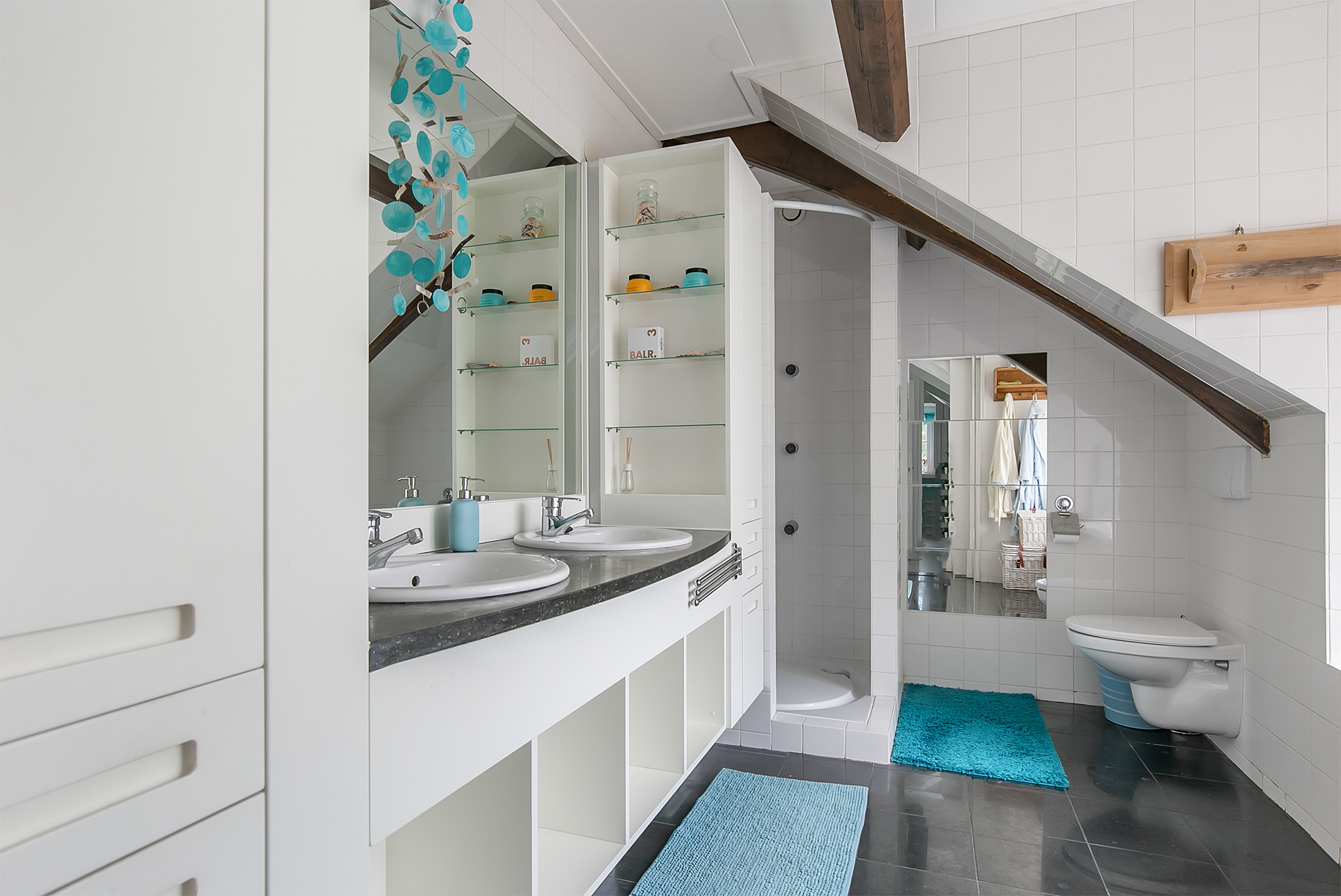 Landelijk wonen in Friesland 3