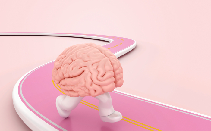 Hier zie je een brein dat aan het trainen is op een roze weg