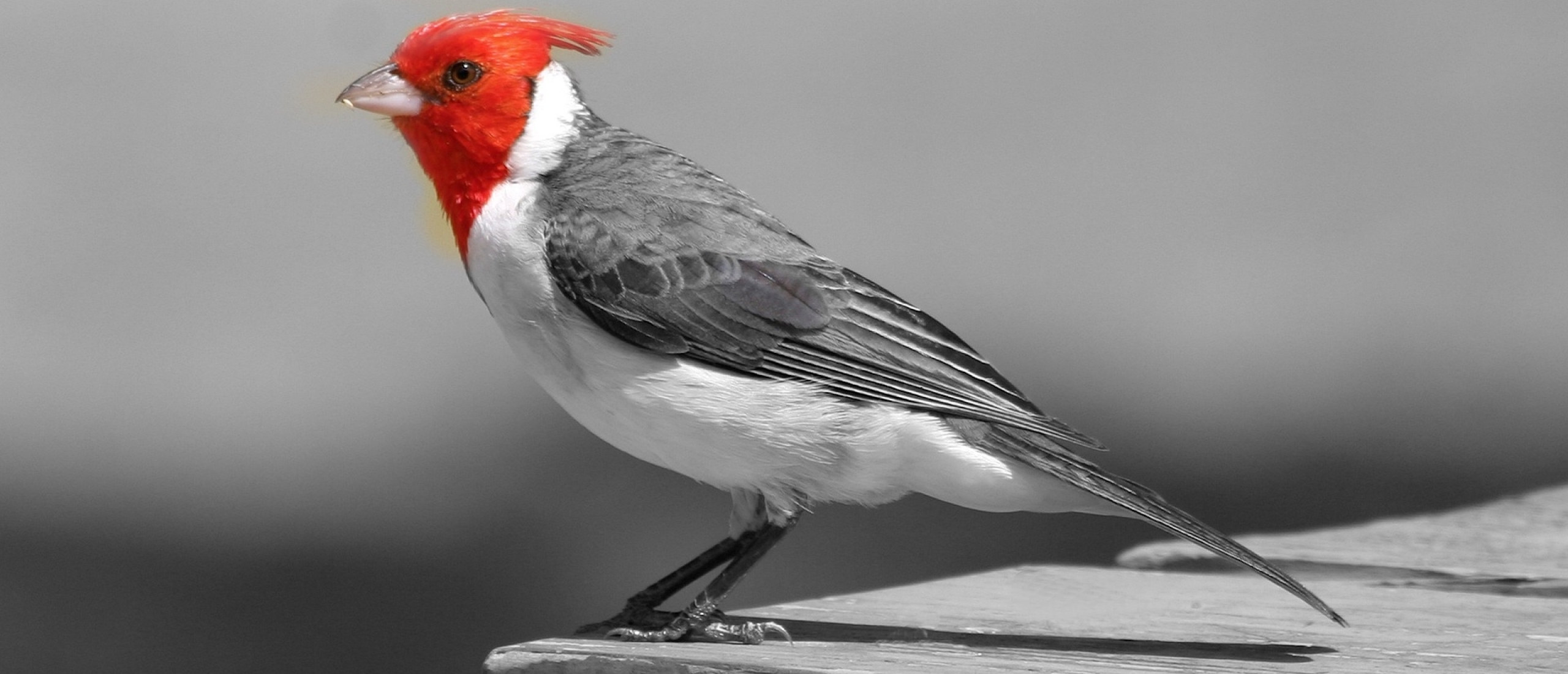 Ho'oponopono toepassen: Zo krijg jij je leven terug in haar natuurlijke flow...