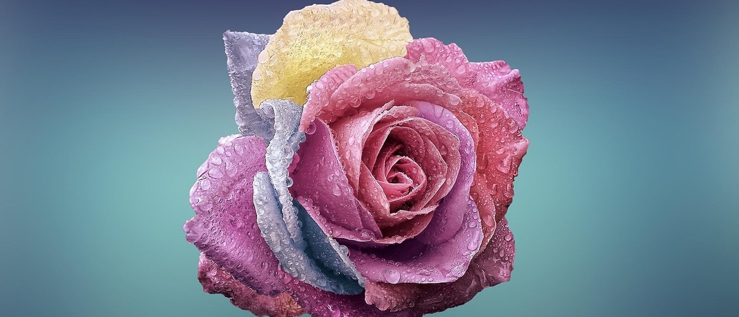 Waarom forceren je uitput en hoe innerlijke rust en intuïtie je weer laten stromen