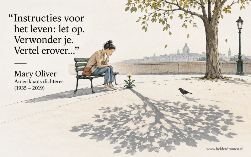 helder dromen wijst je de weg