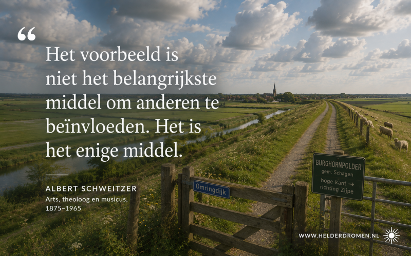 Helder dromen wijst je de weg