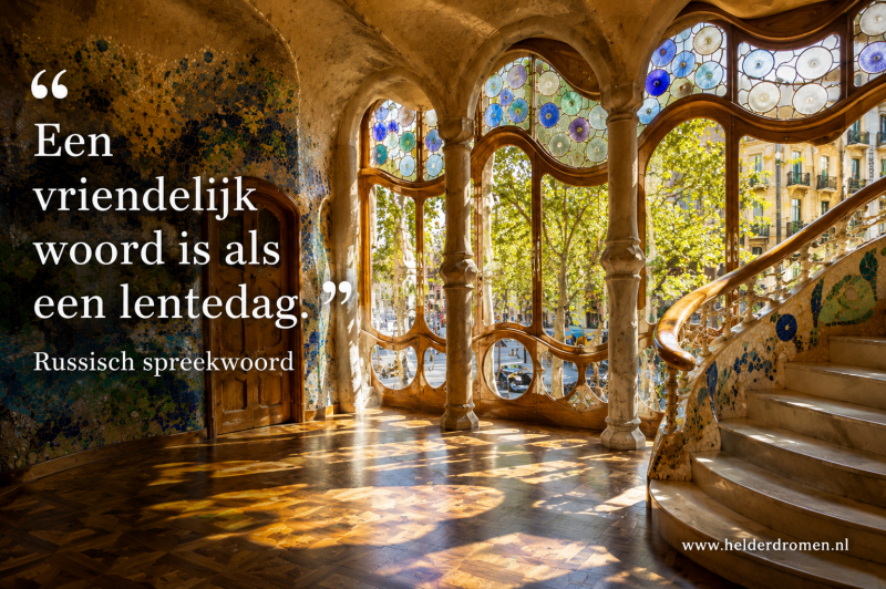 Helder dromen wijst je de weg