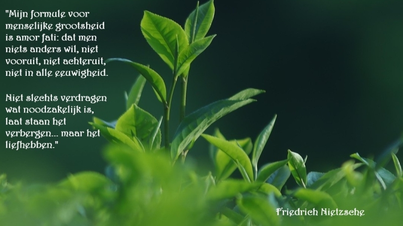 vertrouwen in de bron