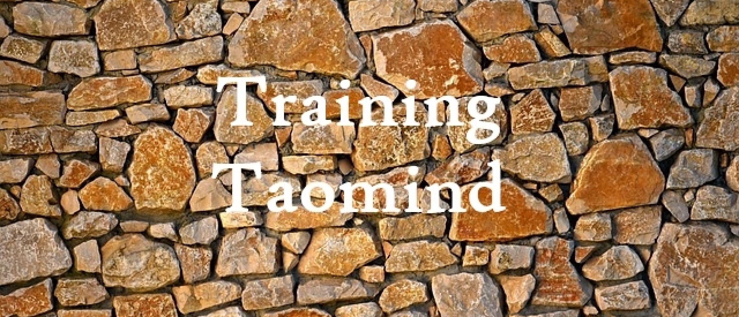 Training Taomind Taoïsme Helder Dromen