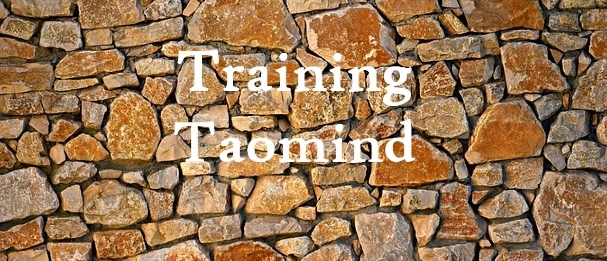 Training Taomind Taoïsme Helder Dromen