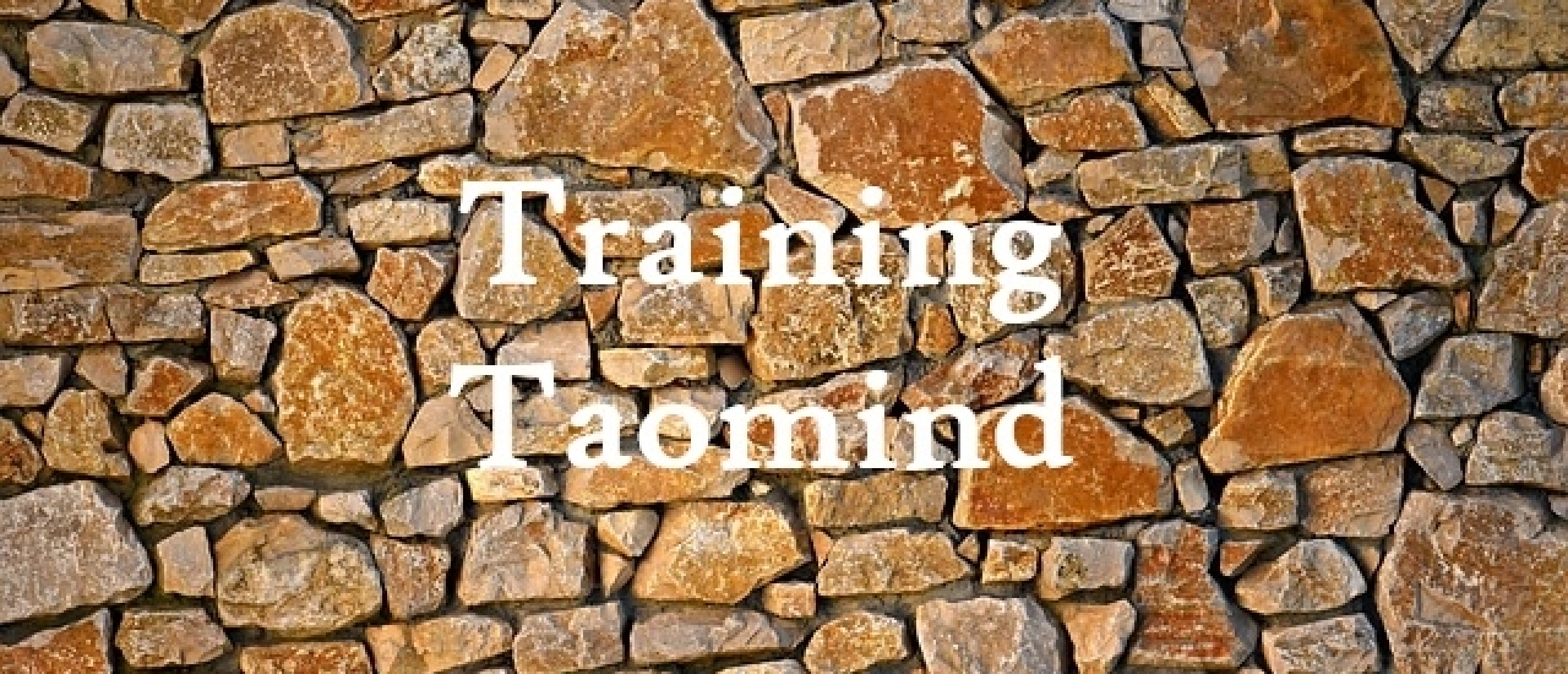 Training Taomind Taoïsme Helder Dromen
