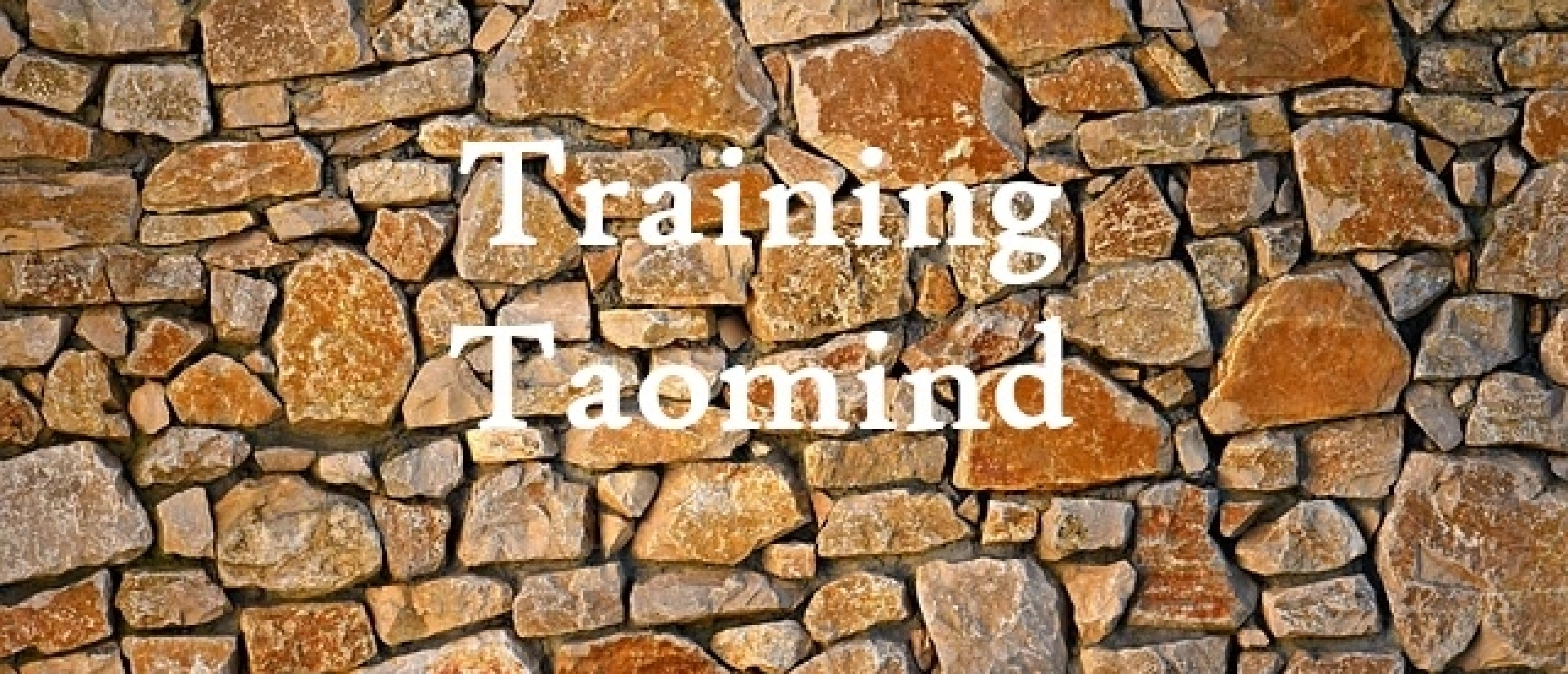 Training Taomind Taoïsme Helder Dromen