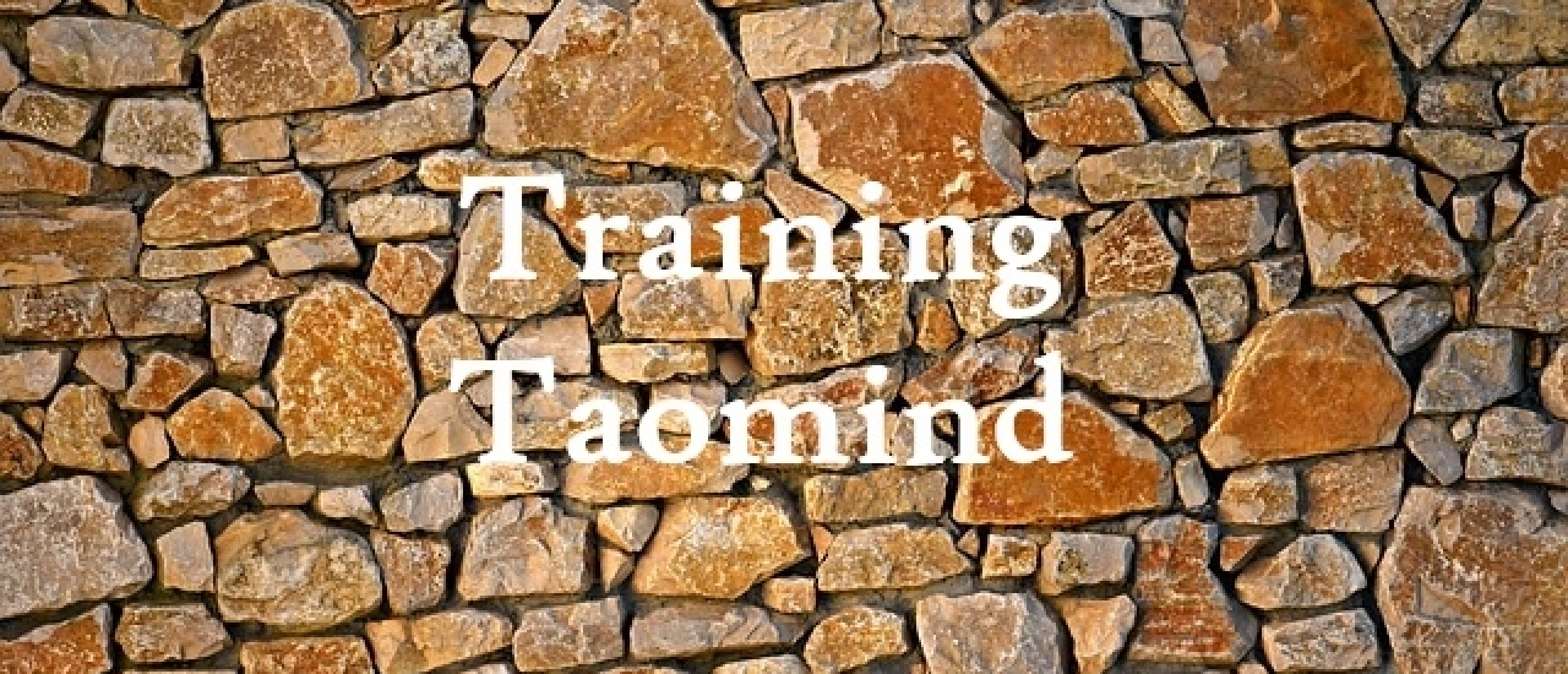 Training Taomind Taoïsme Helder Dromen Training Taomind Taoïsme Helder Dromen