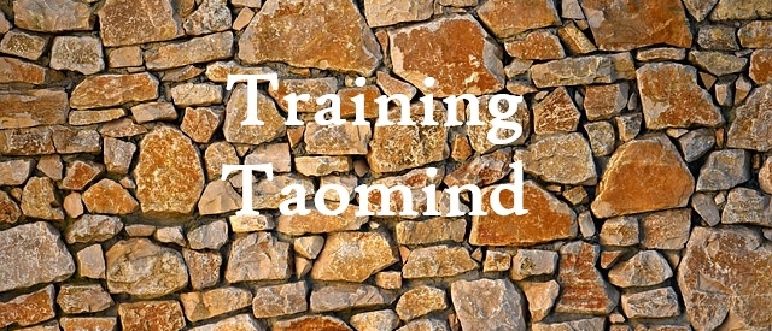 Training Taomind Taoïsme Helder Dromen