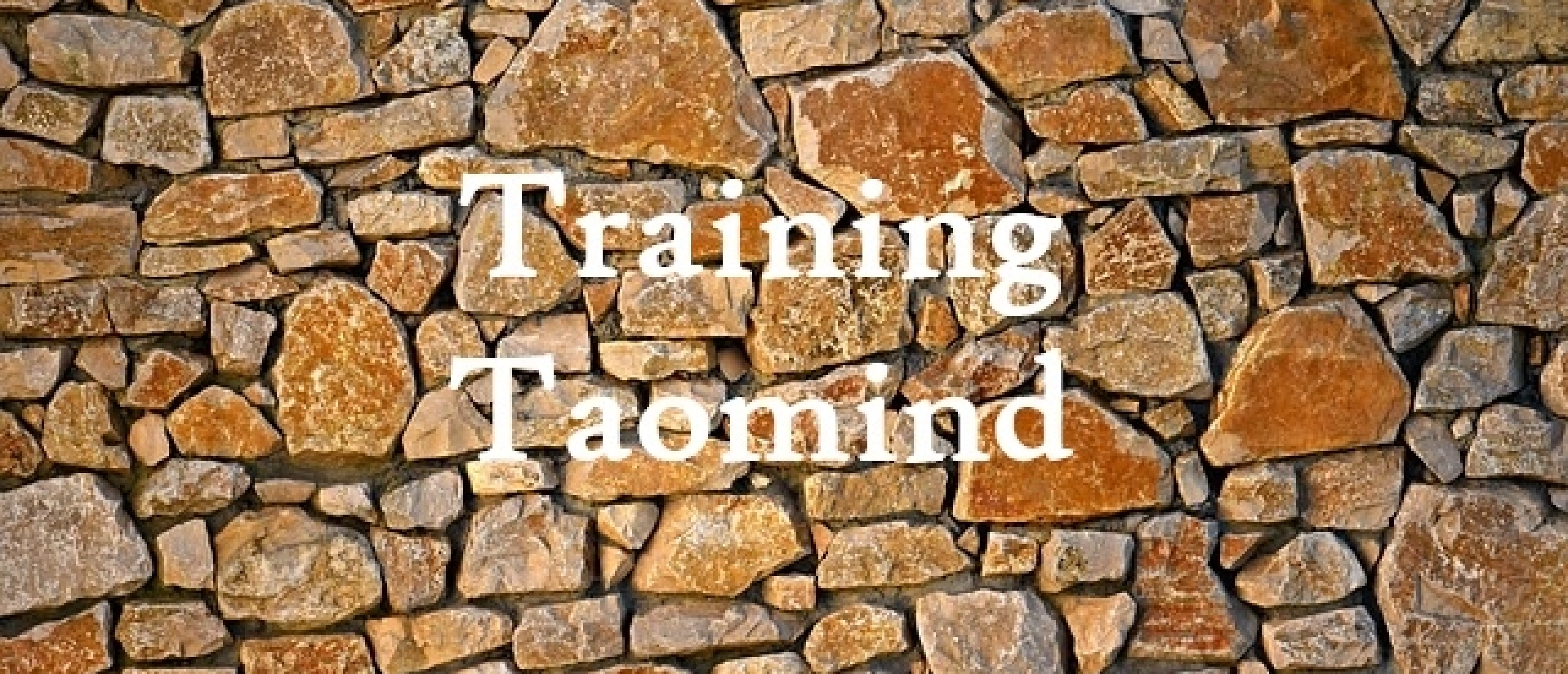Training Taomind Taoïsme Helder Dromen
