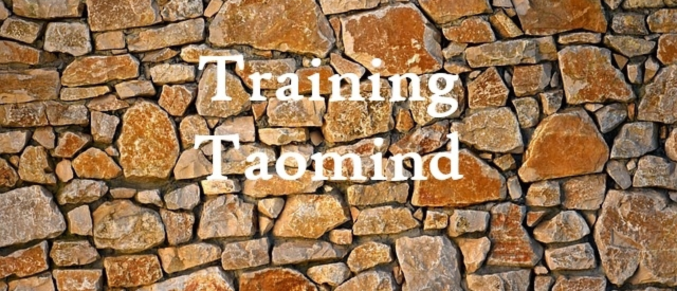 Training Taomind Taoïsme Helder Dromen