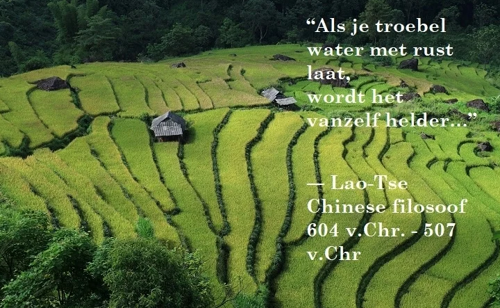 tao taoïsme taomind Helder dromen wijst je de weg