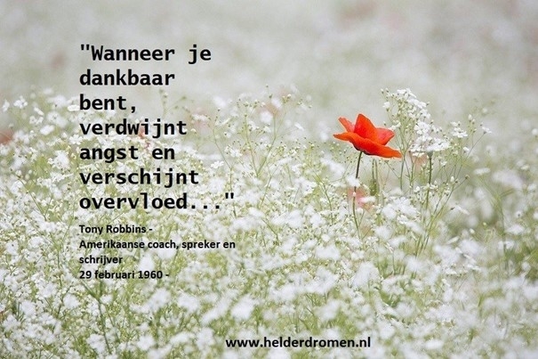 Dankbaar zijn en Dankbaarheid en Ho'oponopono