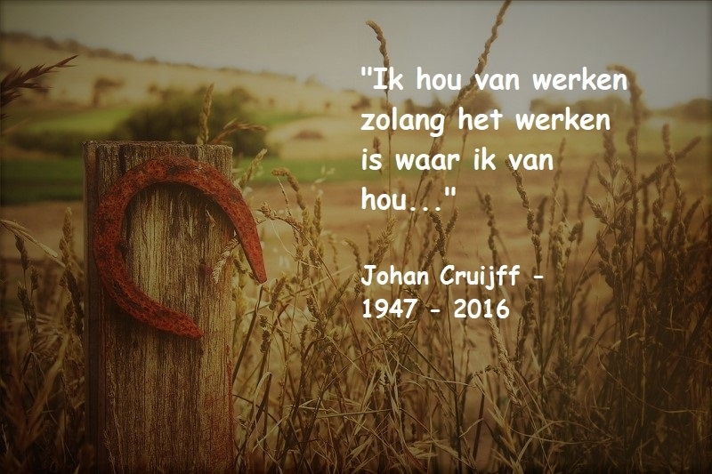 Hoefijzer geluksmethode ho'oponopono helder dromen