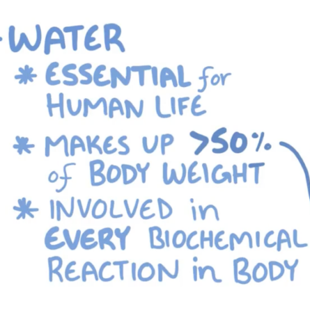 Visual water involved in Every Chemical reaction Visual water involved in Every Chemical reaction