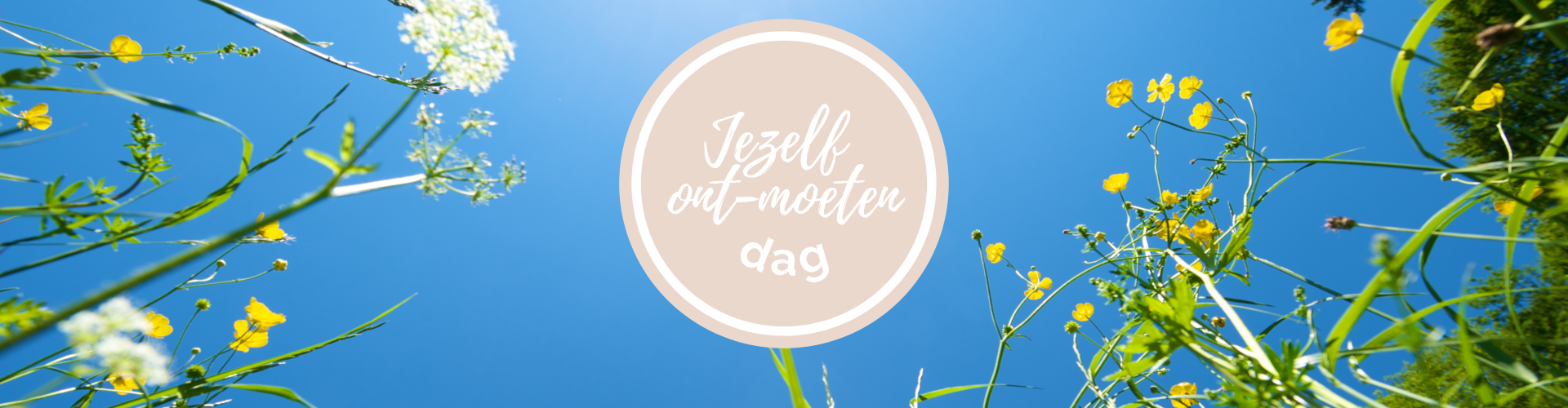 Jezelf ont-moeten Mindfulness Helen van Dijk