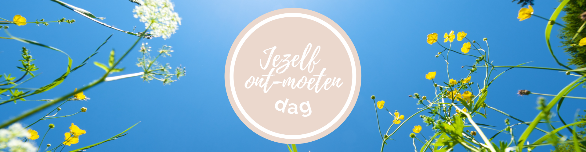 Jezelf ont-moeten Mindfulness Helen van Dijk