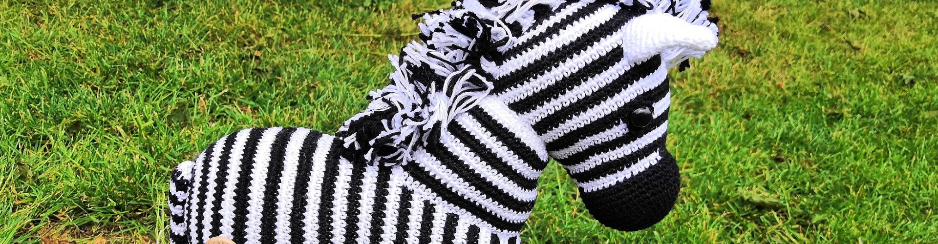 haakpatroon zebra