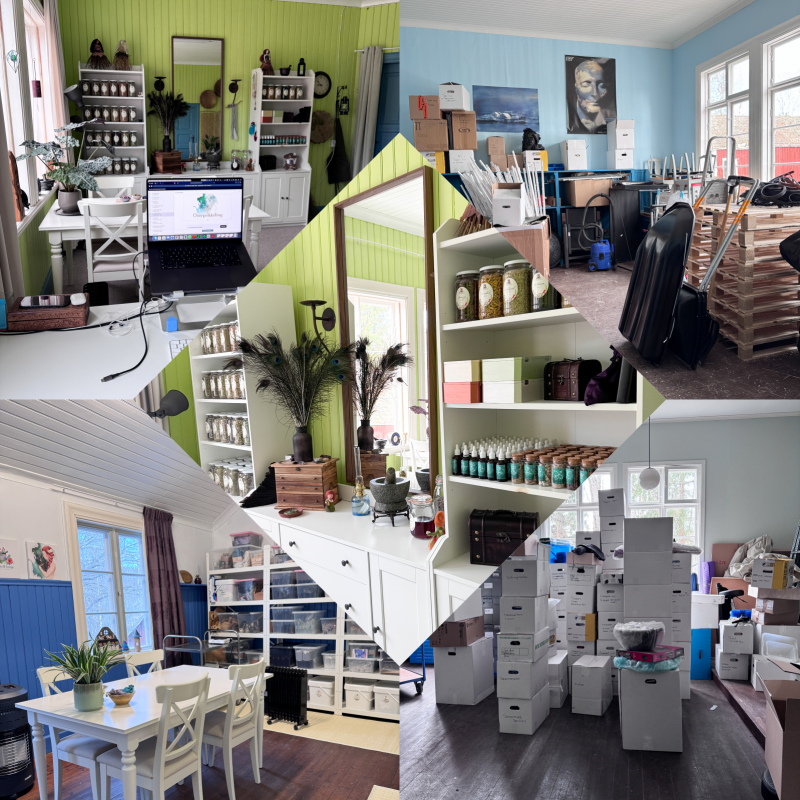 De wijsheid van chaos