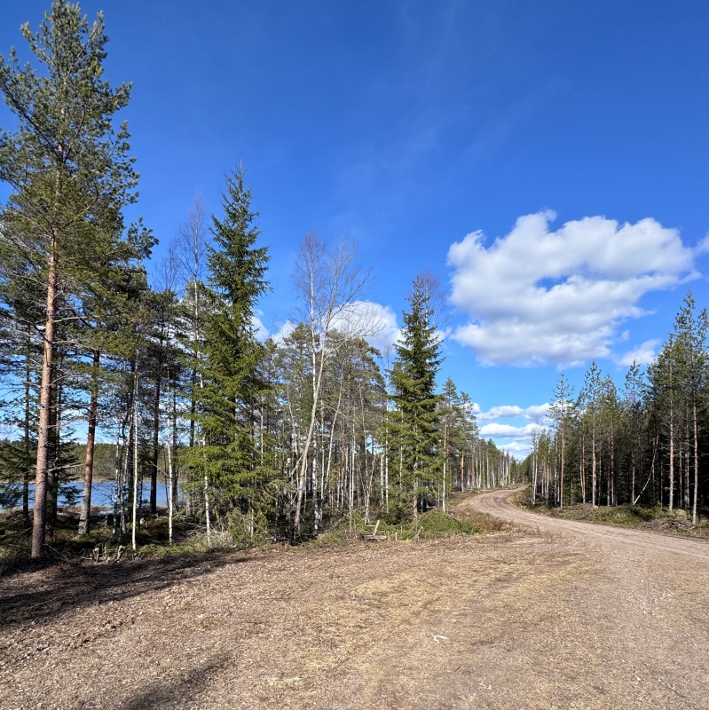 Dwalen maakt creatief