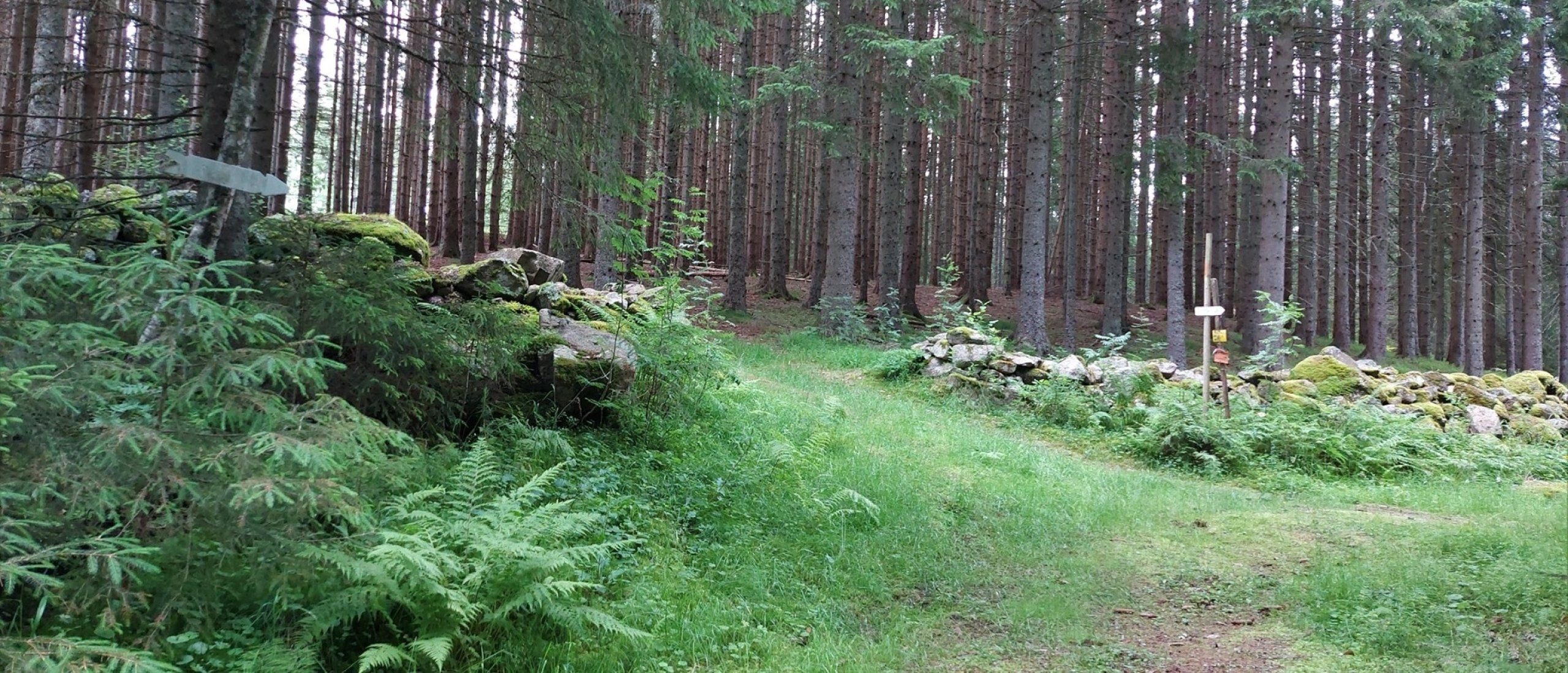Matteskällan