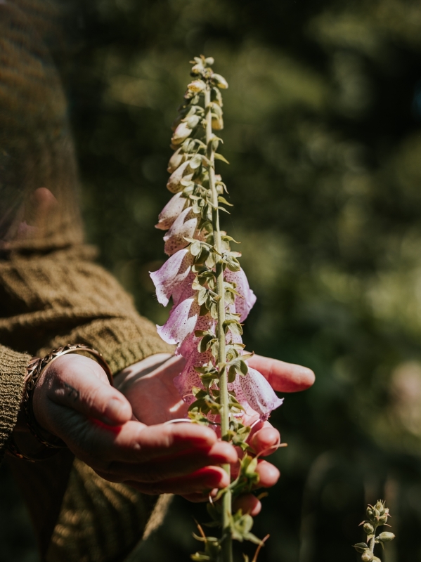 Over onrust en spiegels uit de natuur