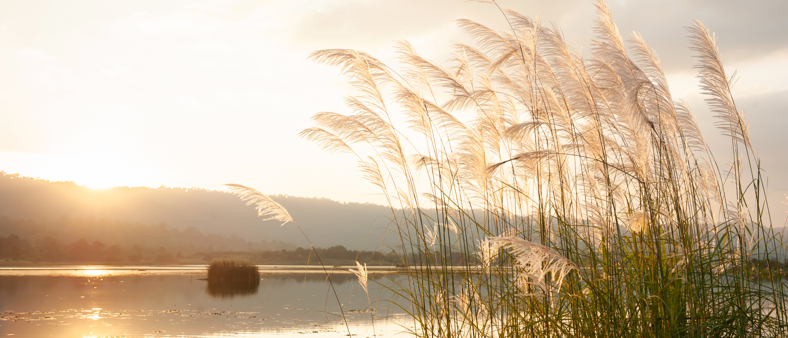 Riet en vertragen