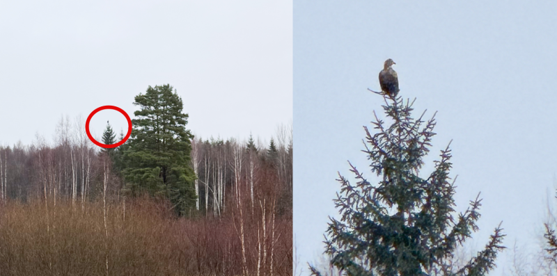 De Wijsheid van Wolken De Wijsheid van Wolken