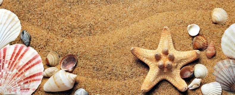 5 tips om AAN je bedrijf te werken tijdens de zomer!