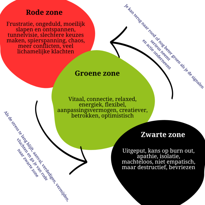 Vitaliteits zones-hetvitalehuis