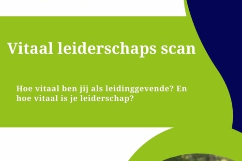 Vitaal leiderschapsscan Hoe vitaal ben jij? En hoe vitaal is je leiderschap?