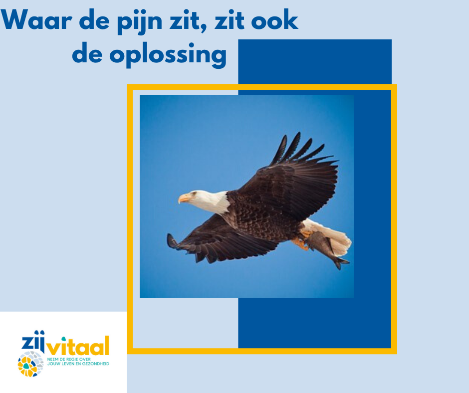 Ben jij een eend of een adelaar?