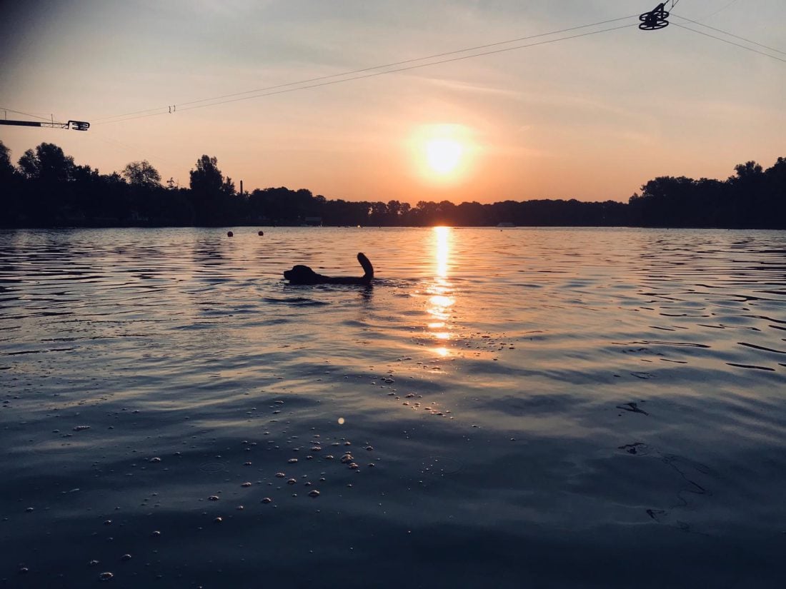 Hoe start je na de vakantie weer op