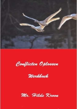 Werkboek Advanced Mediation Academy (I)