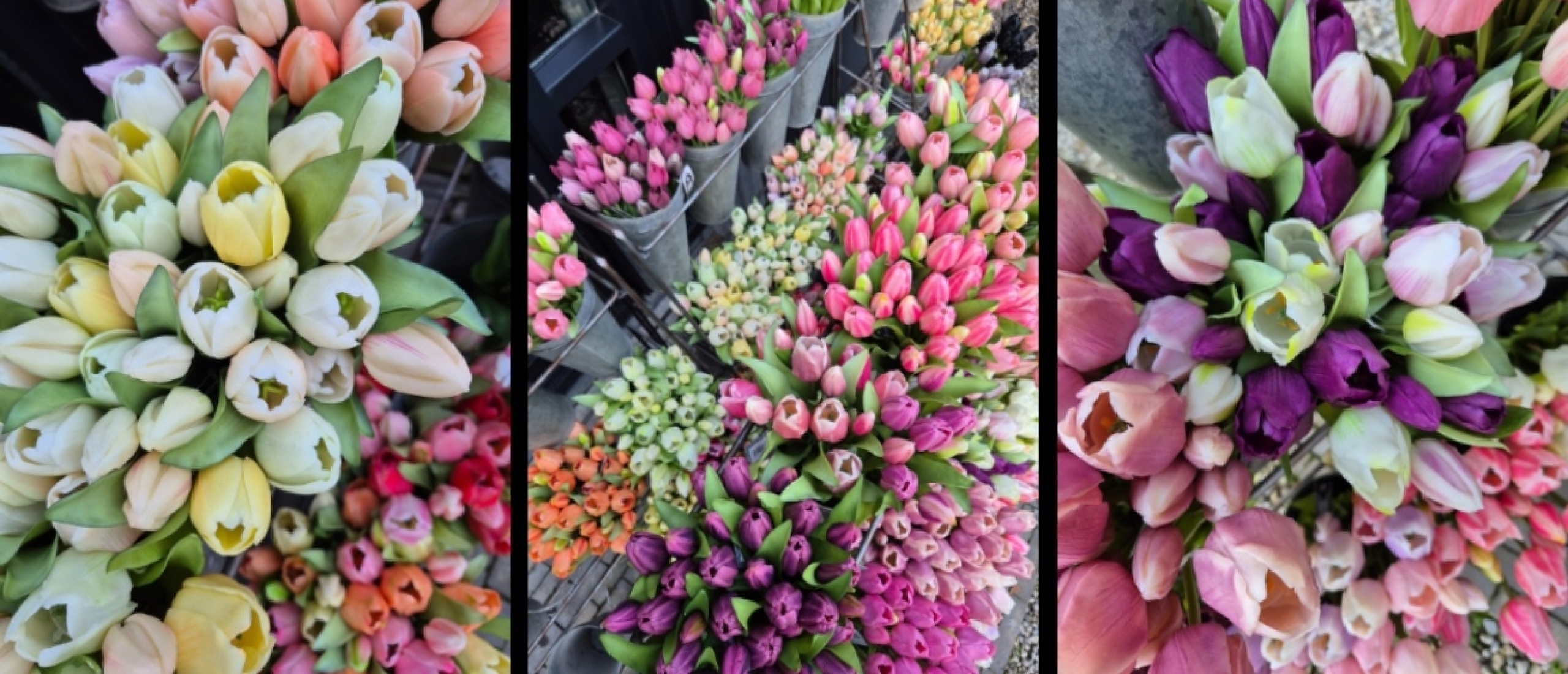 Hoogwaardige kunsttulpen