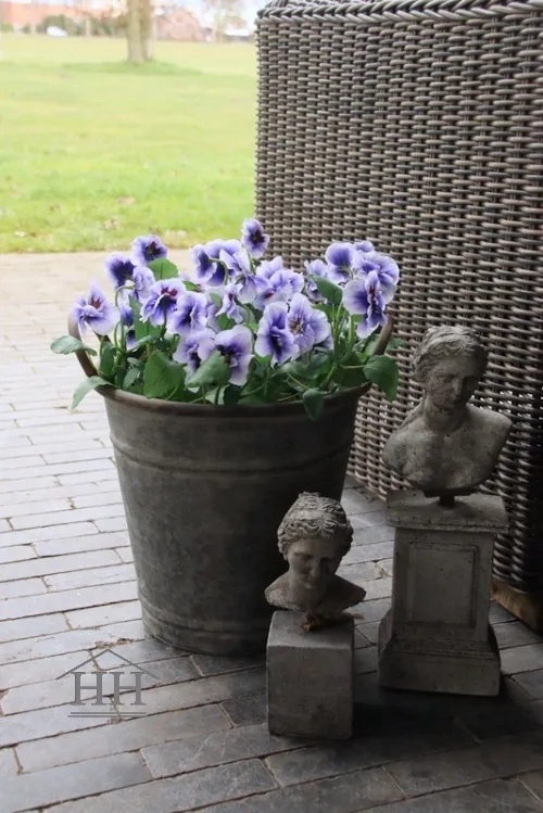 Kunst violen lila in zinken emmer
